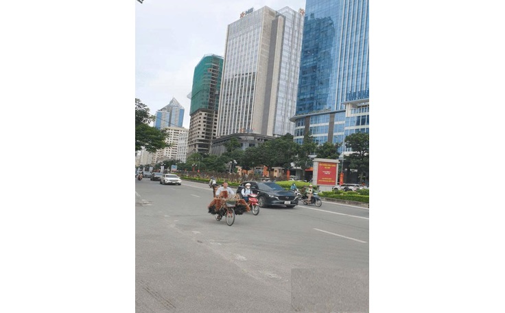 ⭐chinh chu ban can ho tang 19 chung cu cao cap mat pho le van luong, ha noi 159m2 gia 14,5 ty. 0903419435