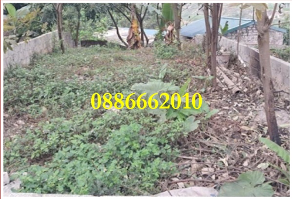 ⭐chinh chu ban dat phan lo ktt quan doi duong lien xa (thuy xuan tien), xuan mai, ha noi. 0886662010