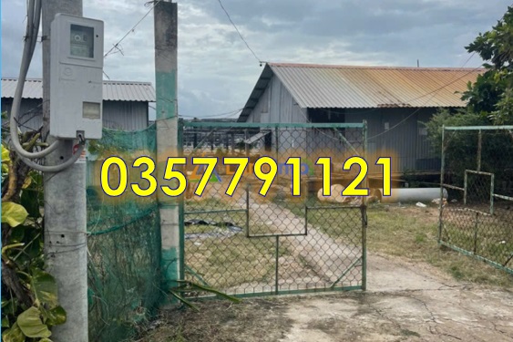 ⭐chinh chu ban gap 8 ao nuoi tom tai (vinh trach dong, tp.bac lieu cu), p.hiep thanh, ca mau moi, 0357791121