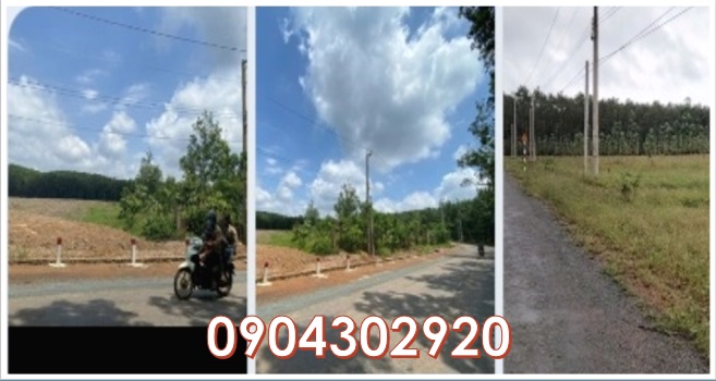 ⭐chinh chu can ban nhanh lo dat dep tai xa thuan loi (dong phu, binh phuoc cu), 0904302920