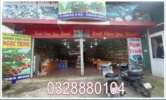 ⭐️can sang quan vi tri sieu dep de kinh doanh tai 14 nguyen tu luc, (p.8) lam vien - da lat, lam dong; 0328880104