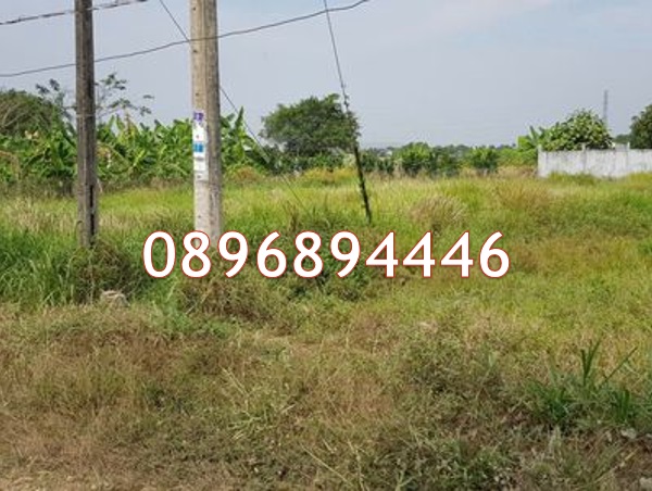 ⭐️chinh chu ban lo dat mat tien d.quach van tuan (p.5, tp.tan an), p. long an, tay ninh (moi), 0896894446