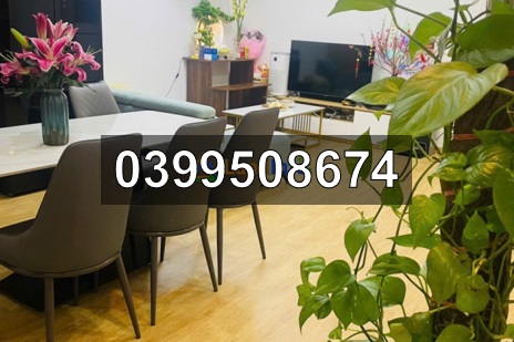 ⭐️chinh chu ban nhanh chcc p.1924 toa hh02d (5 toa moi) thanh ha muong thanh, ha noi, 0399508674