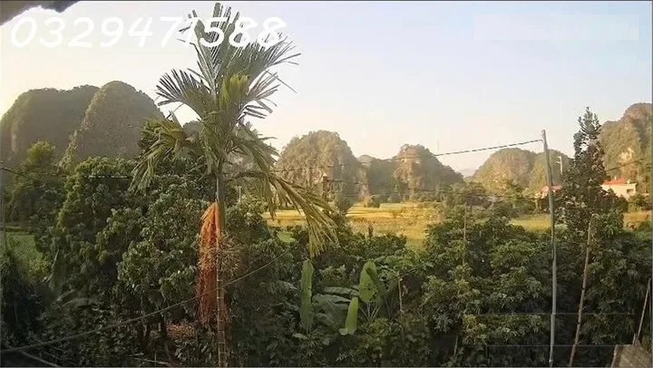 🌻cho thue nha vuon tai xa lac luong (h.yen thuy, hoa binh), nay la phu tho. 0329471588