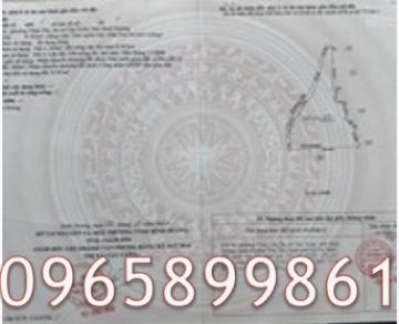 ⭐️Bán 7971m2 đất sẵn sổ duy nhất 2 mặt tiền vành đai 4 và đường nhánh P.Vĩnh Tân (BD), TP.HCM. 0965899861