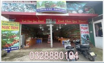 ⭐️Cần sang quán vị trí siêu đẹp để kinh doanh tại 14 Nguyên Tử Lực, (P.8) Lâm Viên - Đà Lạt, Lâm Đồng; 0328880104