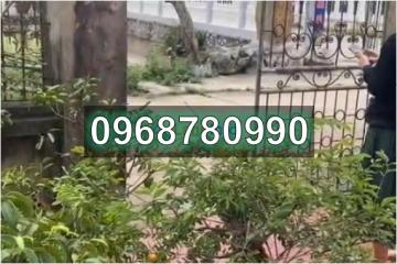 ⭐️CHÍNH CHỦ bán gấp lô đất đẹp tại Châu Giang (Duy Tiên, Hà Nam), nay là P.Duy Tân, Ninh Bình, 0968780990